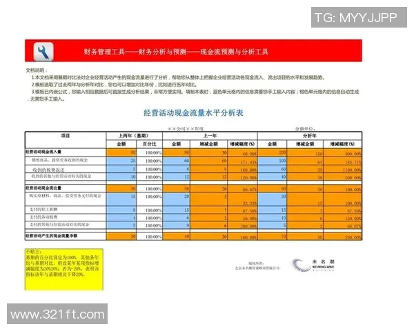 CFO与FNC在财务管理与战略决策中的优势对比分析